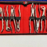 Stainless Steel Dental Extraction Forceps Set of 12 ( Premium), For Commercial