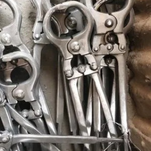 Castration Forceps
