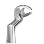 Dentmark Dental Extraction Forcep Lower Molars & Wisdoms Right No- 22 1/2 R(fx22 1/2rs)