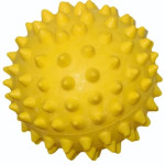 Dog Yellow Ball Toy