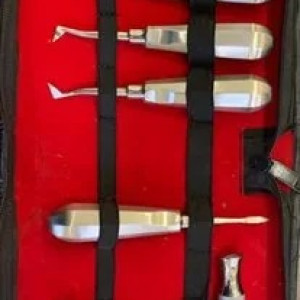 Stainless Steel 10 Piece Dental Elevator Set