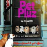Grooming Vaccination Shopping