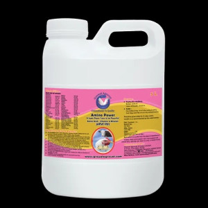 Pulse Rate 70% - 100% Veterinary Medicines For Horse, For Nutritional Medicine, Packaging Type: Bottle