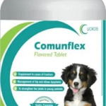 Highly Palatable Joint Supplement for Dogs