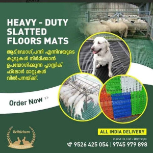 Kennel Flooring