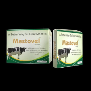 Anti - Mastitis Capsule, Mastovel Capsule Nutravel Healthcare, 6 Capusle Per Strip