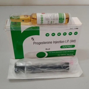 Syrup Homeopathic Veterinary Medicines, For Hospital, Packaging Type: Box
