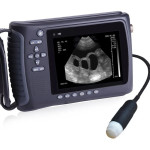 Portable 3D/4D Veterinary Ultrasound Scanner