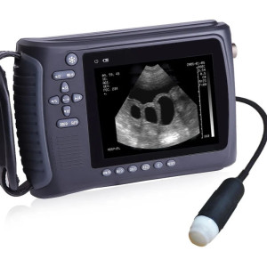 Portable 3D/4D Veterinary Ultrasound Scanner