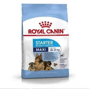 Maxi Royal canin dog food