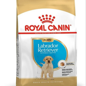 Royal Canin Labrador Junior And Adult Dry Young Dog Food