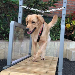 Dog Treadmill / slate mill