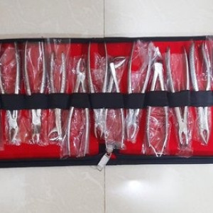 Silver Wowdent Stainless Steel Manual Set Of 14 Dental Extraction Forceps Kit