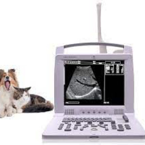 Equipment